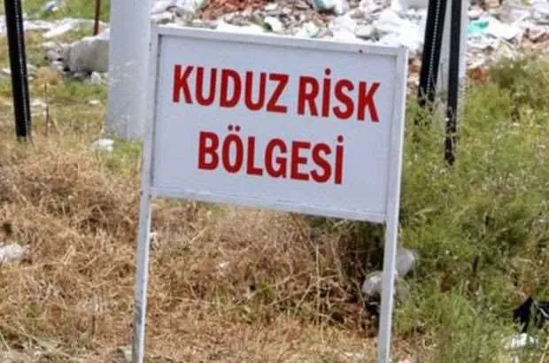 Urfa’da kuduz alarmı!
