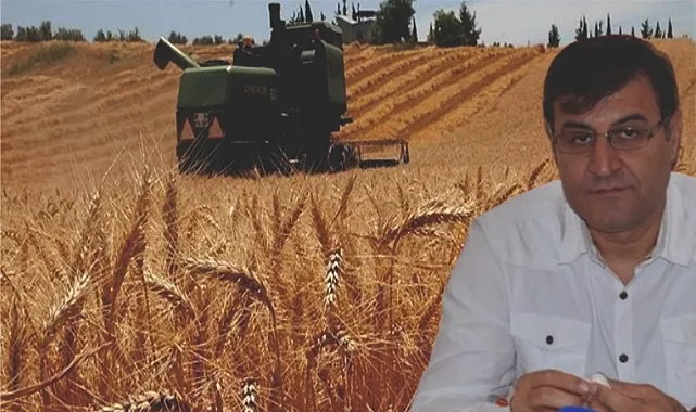 Tarladan dert biçtik, tüccarın insafına terk edildik