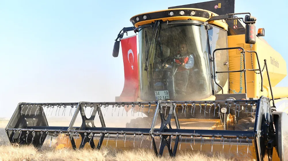 Vali Şıldak, tarlada buğday biçti