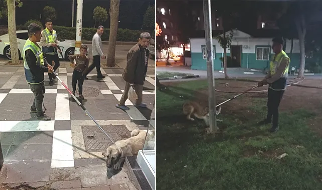 Valilik alarma geçti