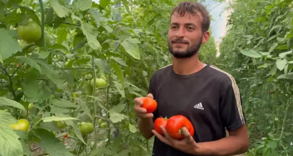 Tarım işçiliğinden patronluğa