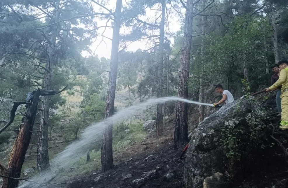 Orman yangını kısa sürede söndürüldü