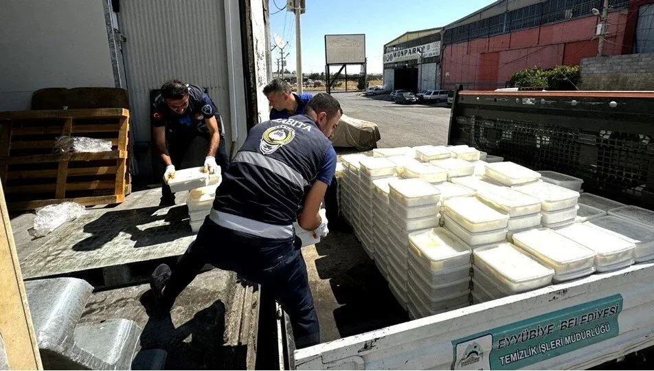 Piyasaya süreceklerdi: 5 ton bozuk peynir ele geçirildi