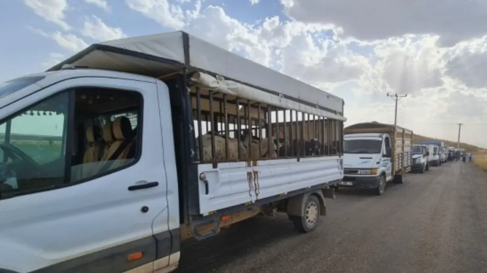 Urfa, Mardin, Bingöl ve Erzurum’dan dayanışma örneği