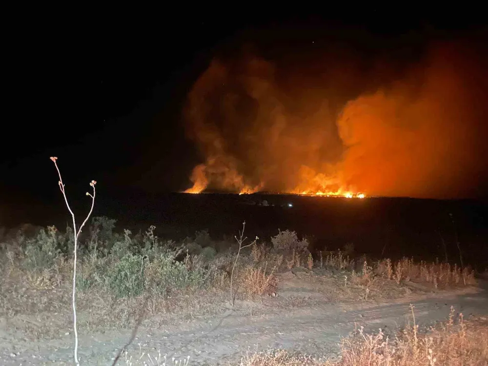 Gece başlayan orman yangını söndürüldü