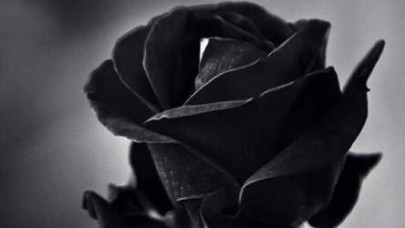 Bir Annenin Ardından