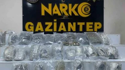 13 kilo skunk ele geçirildi