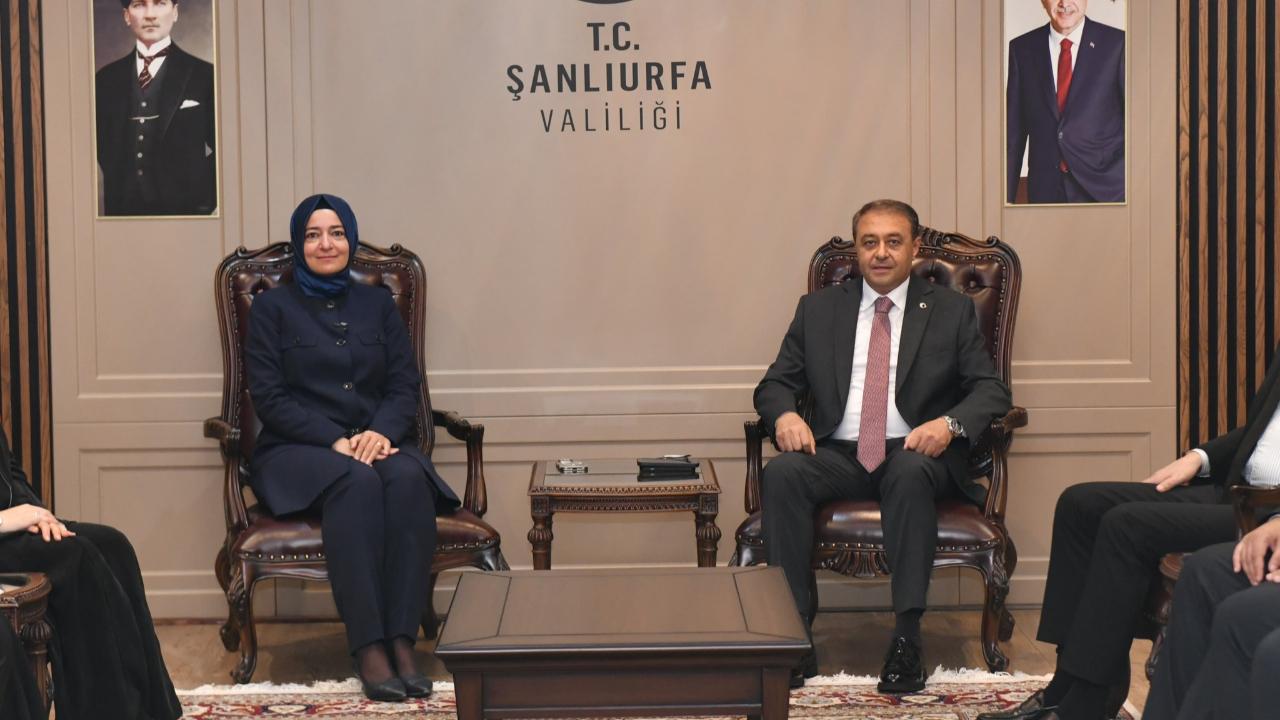 AK Parti Genel Başkan Yardımcısı Kaya, Şanlıurfa’da