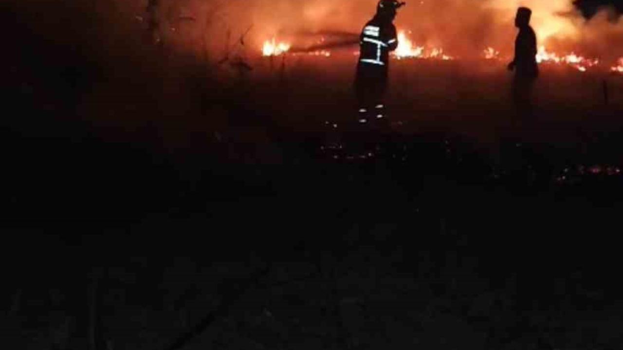 Anız yangını: 30 dönümlük alan kül oldu