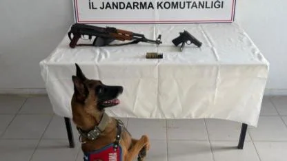 Birecik’te silah operasyonu: Gözaltılar var