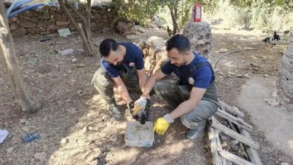 Çukura düşen köpeğin yardımına itfaiye yetişti