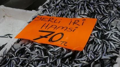 Hamsi 70 liraya düştü, vatandaş sevinçten çiğ yedi