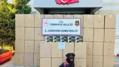 Kaçak makaron operasyonunda 1 tutuklama