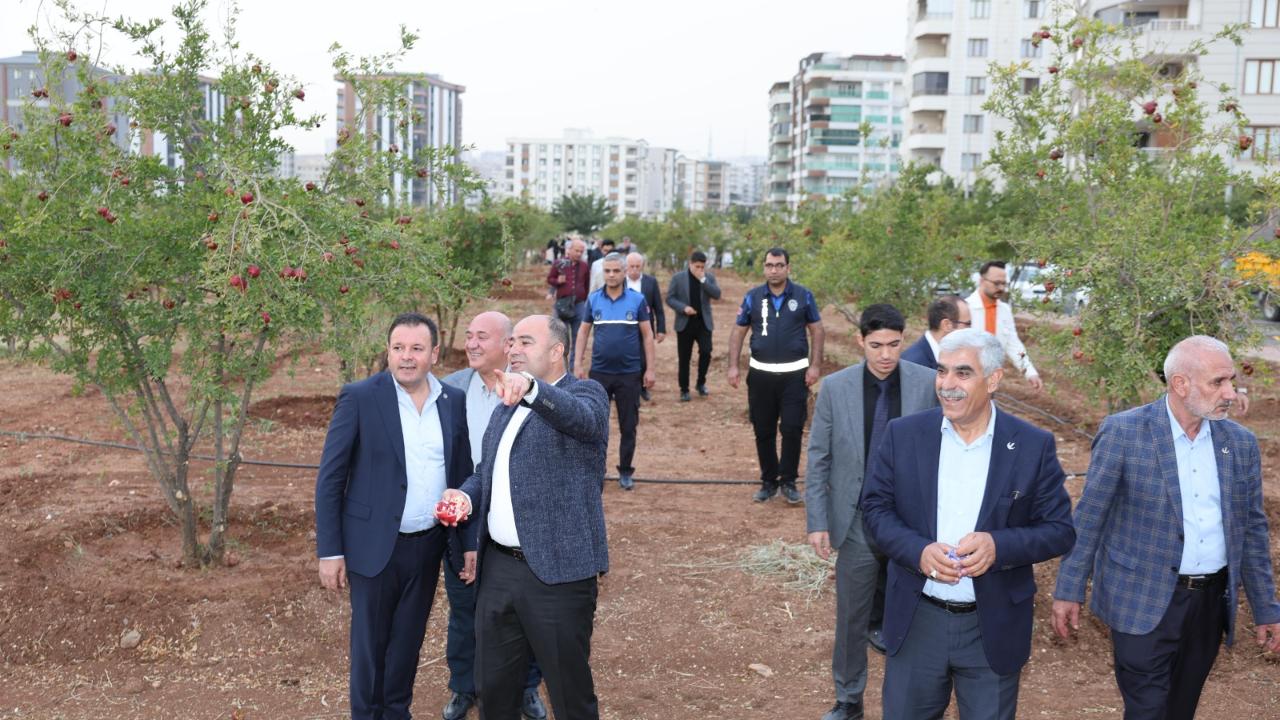 Karaköprü'de nar festivali coşkusu