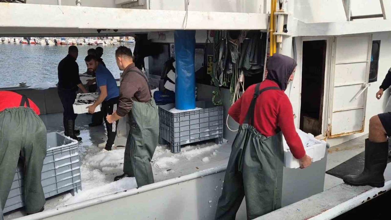 Kasa kasa balıkla döndüler:Tekirdağlı balıkçıların yüzü gülüyor