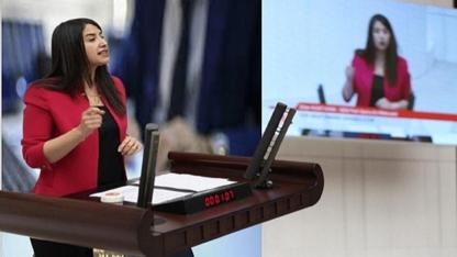 KHK ile ihraç edilenlerin sorunları TBMM’de dile getirildi