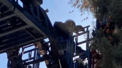 Koca yürekli öğretmen yavru kediyi kurtardı