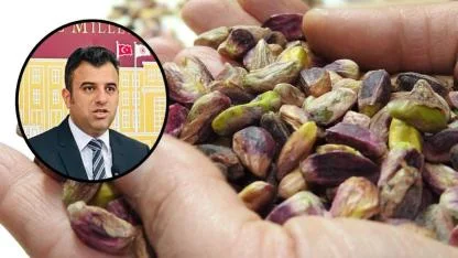 Öcalan, Şanlıurfa fıstığı ile ilgili kanun teklifi verdi