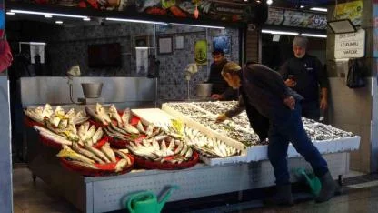 Palamut sezonu başlamadan bitti, umutlar seneye kaldı