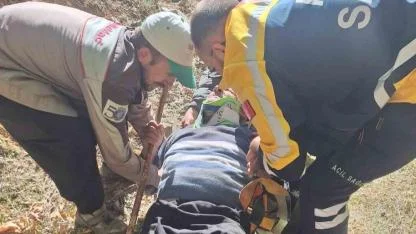 Hayvan otlatırken kayalıklardan düşen gazi kurtarıldı