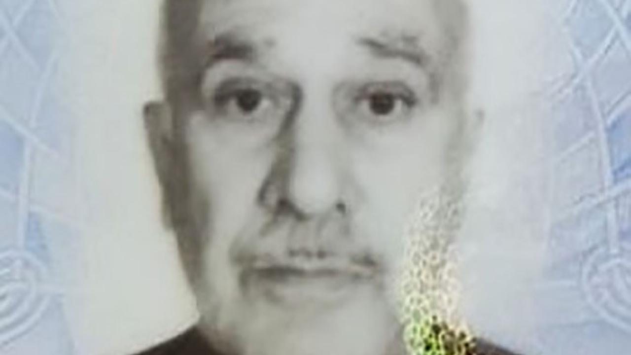 Otomatik Taslak