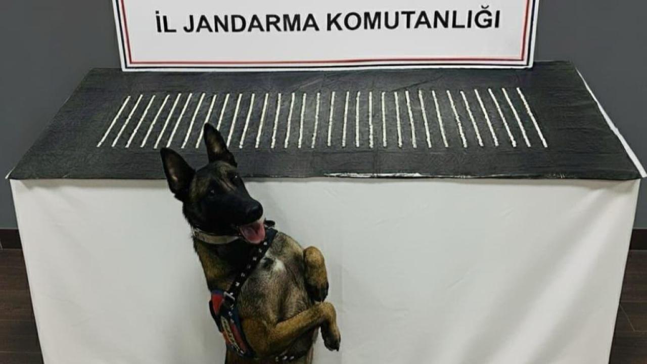 Şanlıurfa’da 1206 hap ele geçirildi