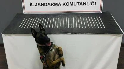 Şanlıurfa’da 1206 hap ele geçirildi