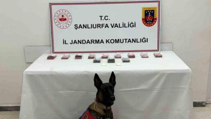 Şanlıurfa’da 210 bin TL ile uyuşturucu madde ele geçirildi
