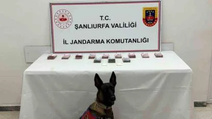 Şanlıurfa’da 210 bin TL ile uyuşturucu madde ele geçirildi