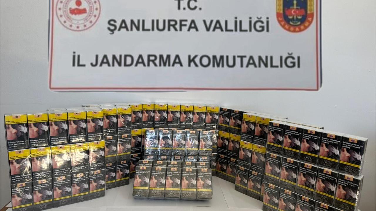 Şanlıurfa’da jandarma, kaçakçılara göz açtırmıyor