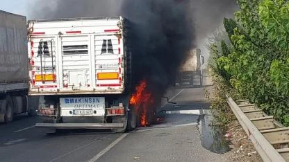 Şanlıurfa'da seyir halindeki TIR, alev alev yandı