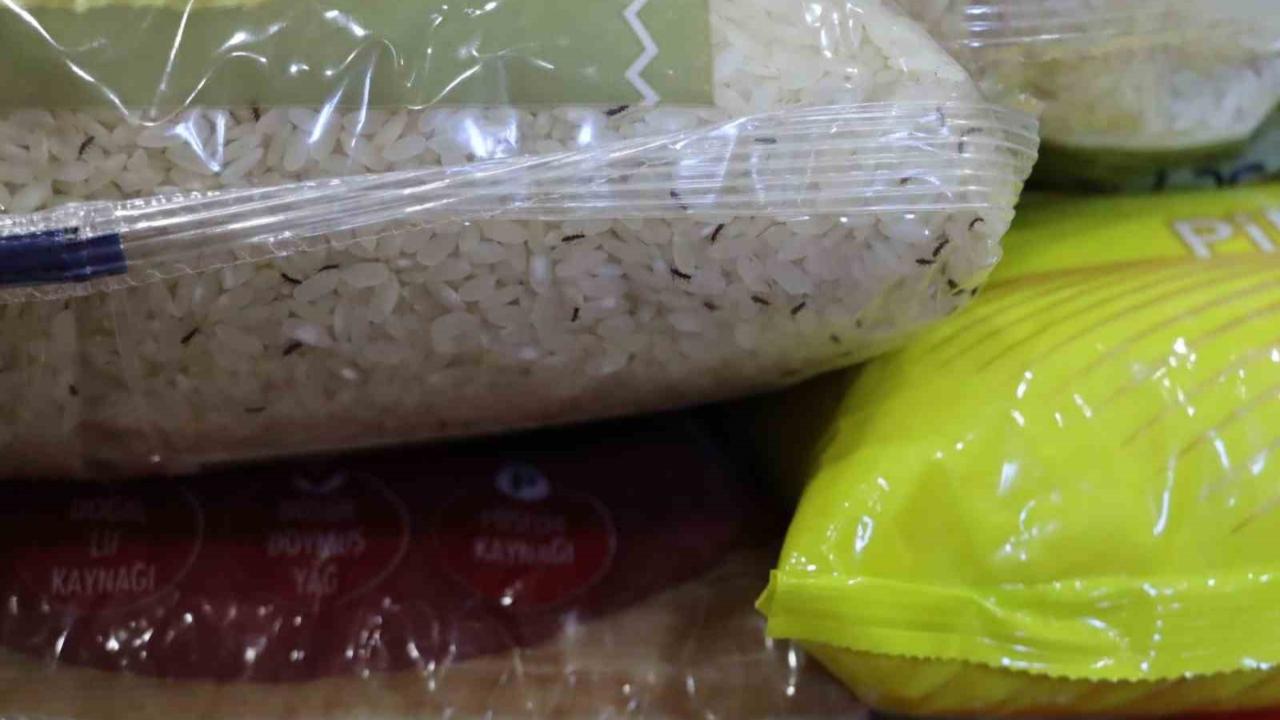 Tarihi geçmiş ve kurtlanmış yüzlerce ürün ele geçirildi