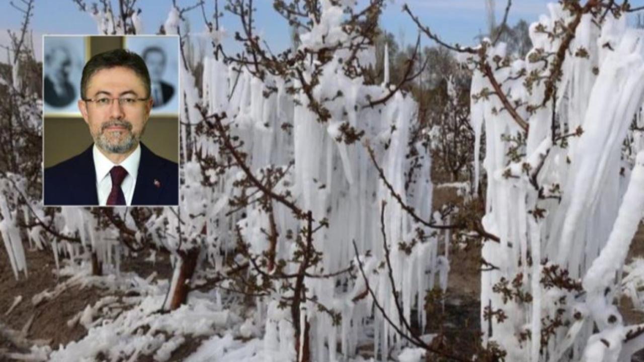 Zirai dondan zarar gören çiftçilere müjde