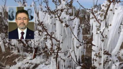 Zirai dondan zarar gören çiftçilere müjde