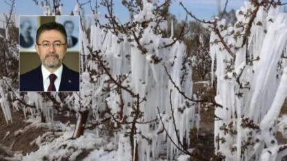 Zirai dondan zarar gören çiftçilere müjde