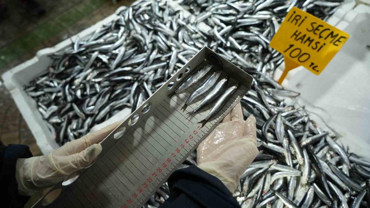 Balık tezgahlarına yakın markaj: 109 kişi ve işletmeye 2,5 milyon TL ceza