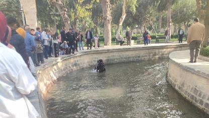 Balıklara yem atacaktı. Her şey bir anda oldu