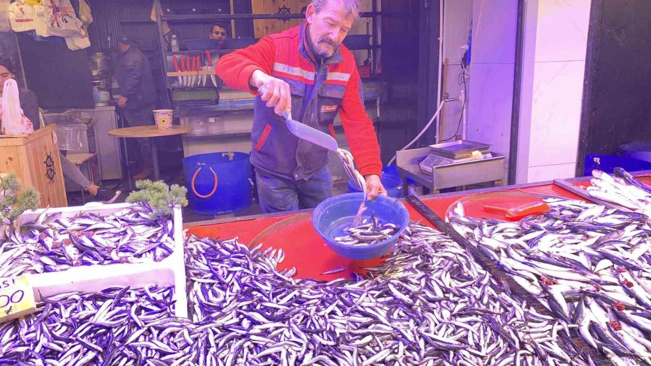 Bollaşan hamsi tezgahlarda 100 TL’ye yer buldu