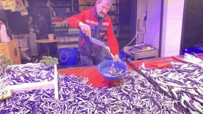 Bollaşan hamsi tezgahlarda 100 TL’ye yer buldu