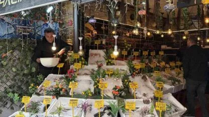 Büryan şehrinde balık tercihi