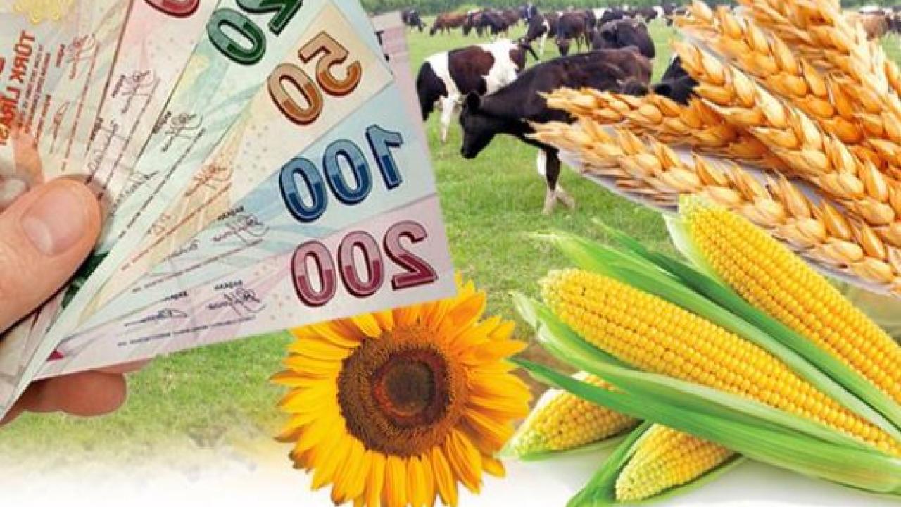Çiftçilere 306 milyon liralık destek sağlandı