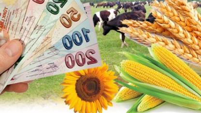 Çiftçilere 306 milyon liralık destek sağlandı