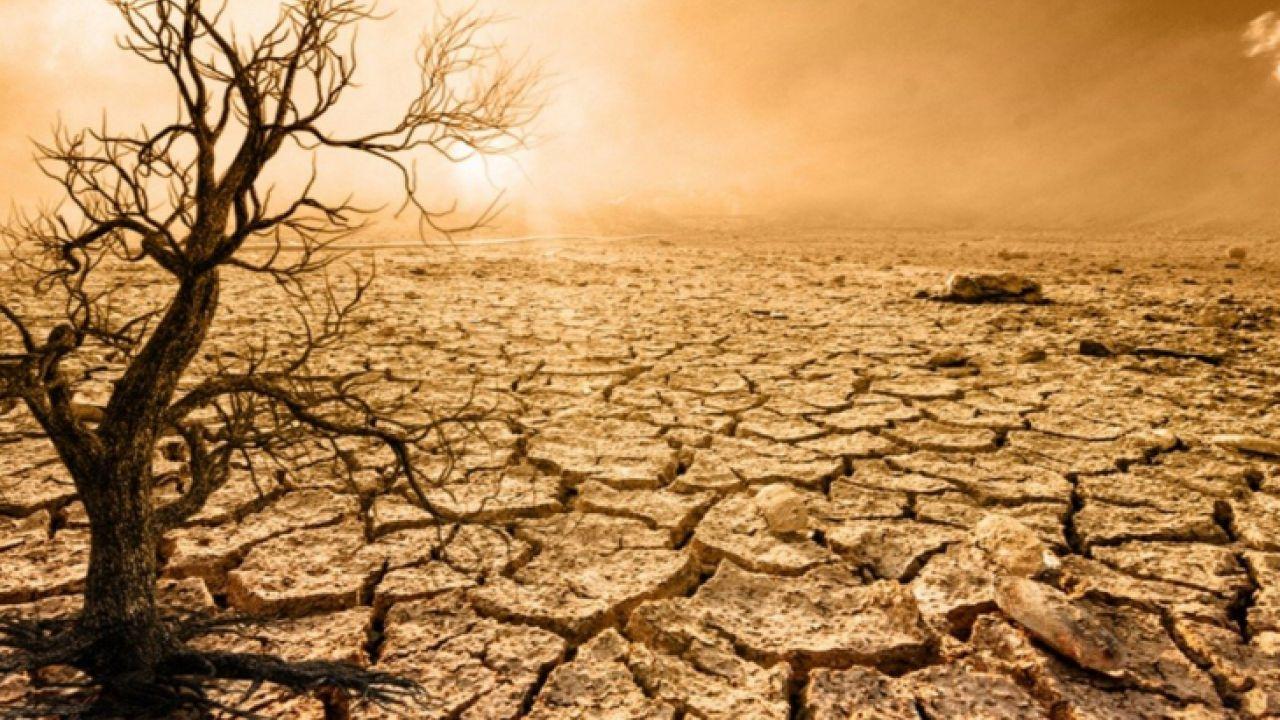 Cumhurbaşkanlığından Çarpıcı Su Raporu