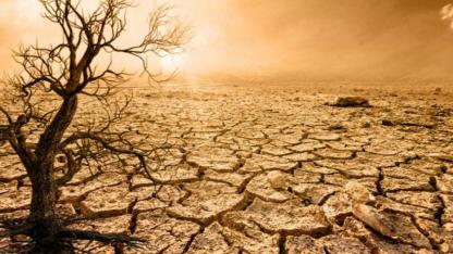 Cumhurbaşkanlığından Çarpıcı Su Raporu