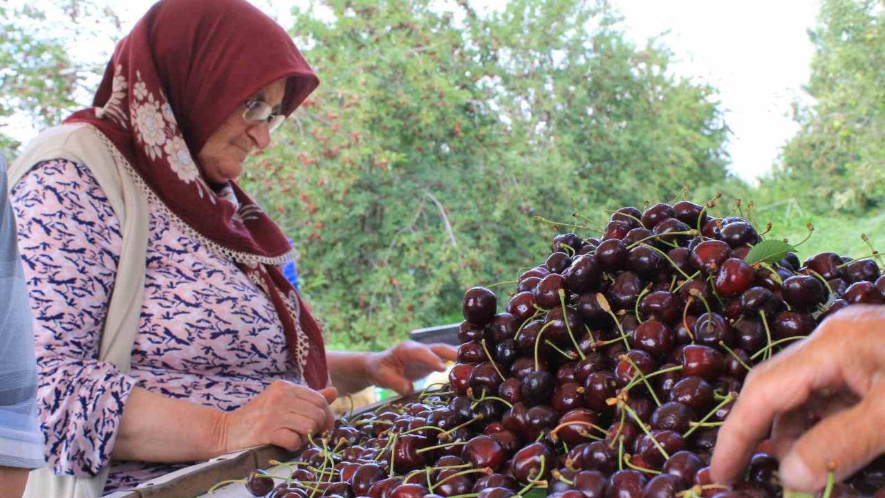 Dondurulmuş kirazda da dünya lideriyiz
