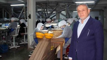 Fındık fiyatları, ihracat, döviz kuru ve hava şartlarına bağlı