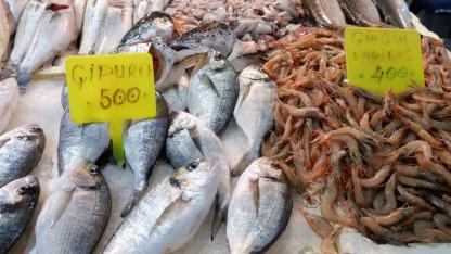 Foça Balık Hali’nde kış sezonu:"Sardalya ve uskumru zamanı"