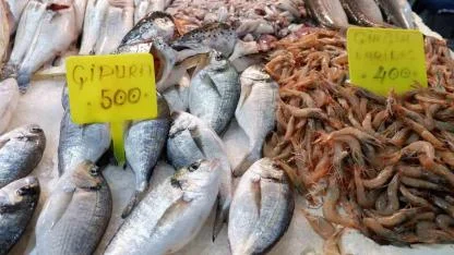 Foça Balık Hali’nde kış sezonu:"Sardalya ve uskumru zamanı"