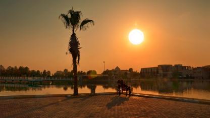 Harran Üniversitesi'ne personel alınıyor