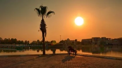 Harran Üniversitesi'ne personel alınıyor